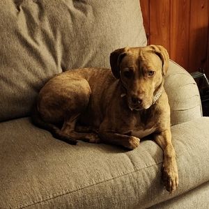 Meet your Posher, Margie